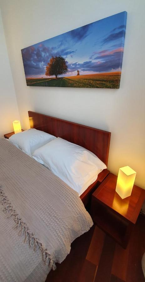 Sweet Dreams Suites Cismigiu Gardens 부쿠레슈티 외부 사진
